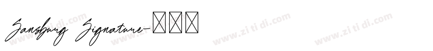 Sansburg Signature字体转换